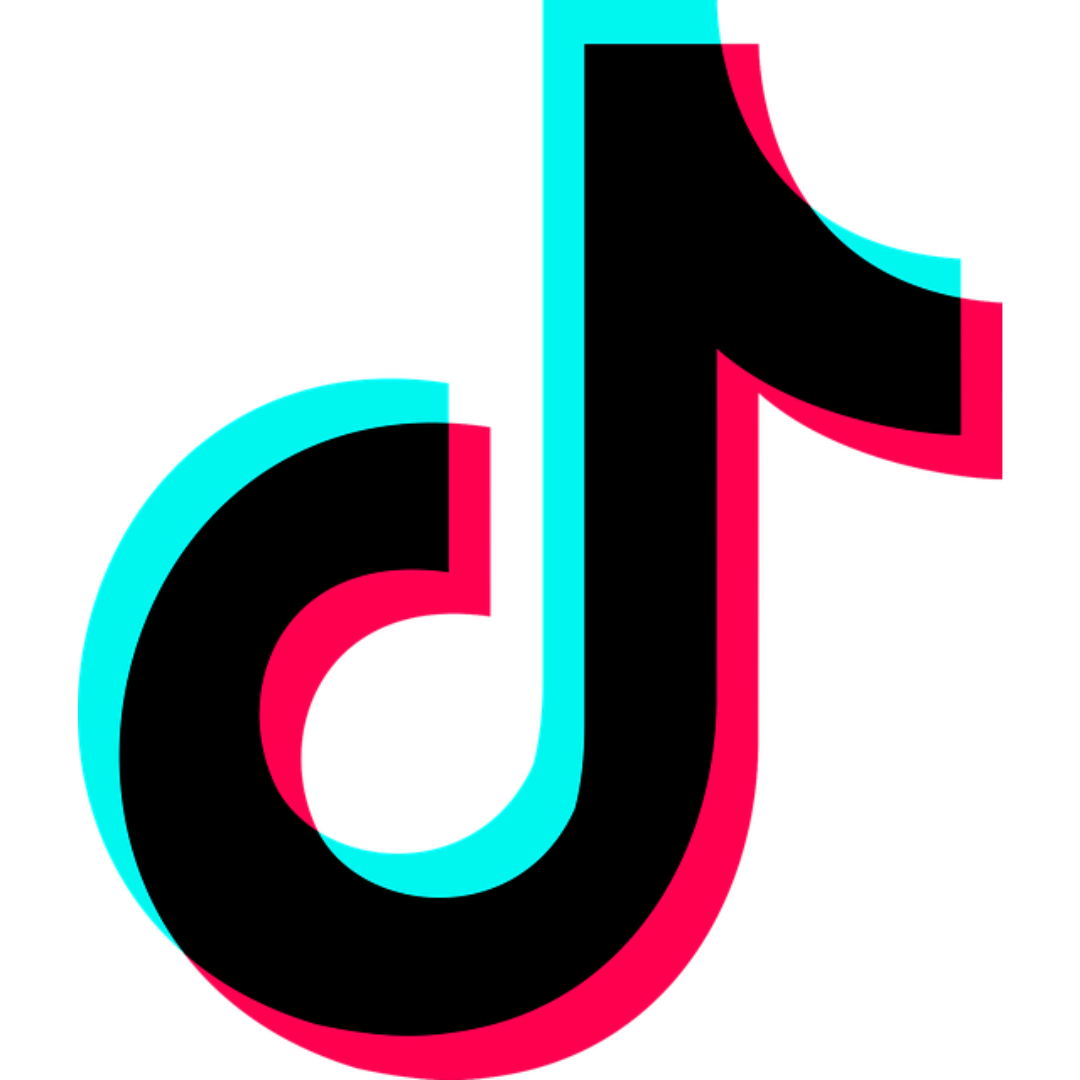 Icona IP